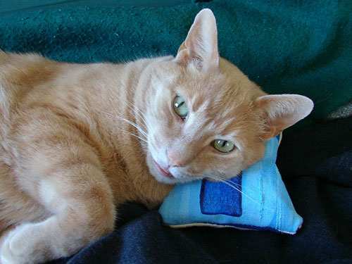 pillow