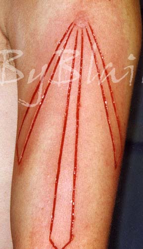 CUTTING